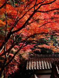 Kyoto - Bishamon-do temple