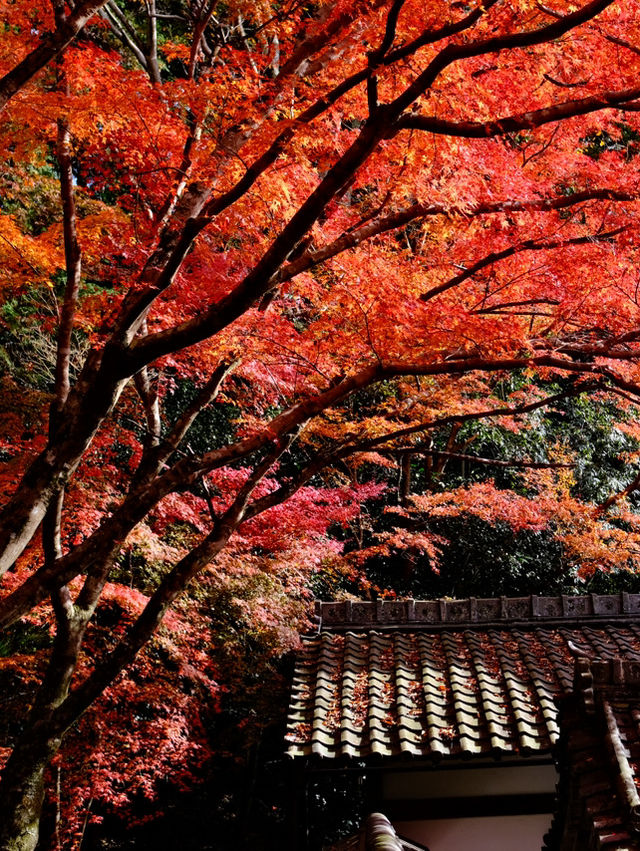 Kyoto - Bishamon-do temple