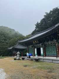 비오는 여름에 함양에 방문해보세요!