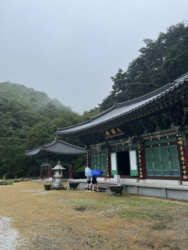비오는 여름에 함양에 방문해보세요!