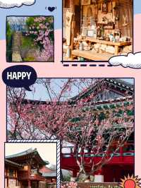 Step Back in Time: Experience the Beauty of Spring at Suncheon Nakan-eupseong! 