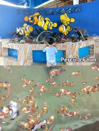 ทริปเที่ยวทะเลสัตหีบ