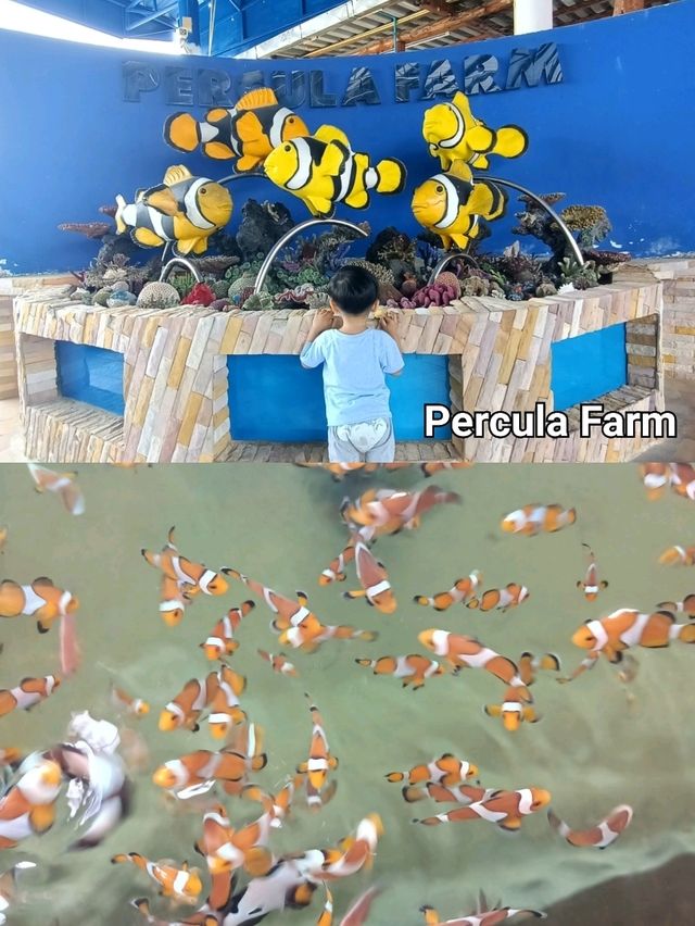 ทริปเที่ยวทะเลสัตหีบ