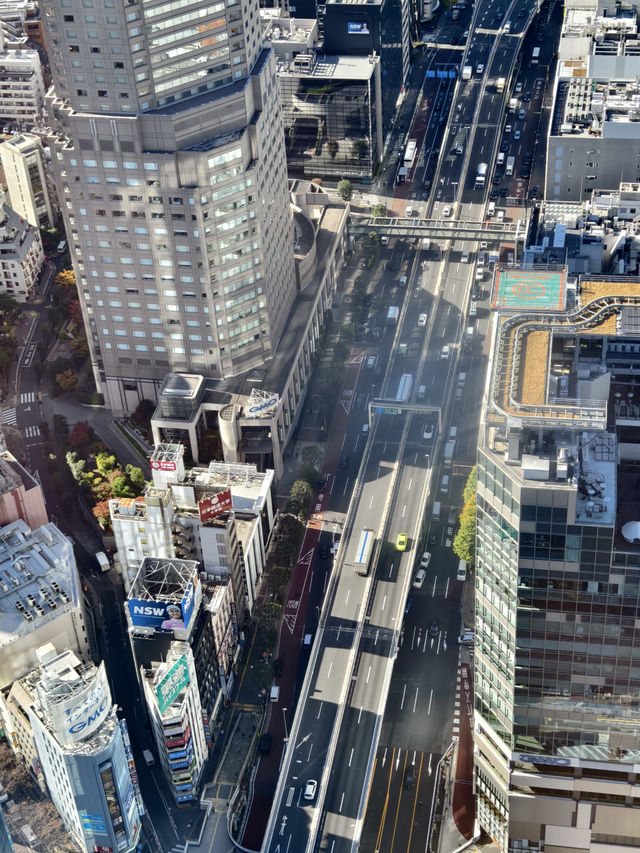 東京高229米的展望台