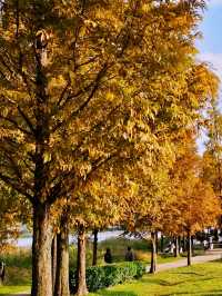 Muljeongwon Flower Festival Review – Namyangju