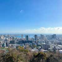 額田山展望台 | 城市繁華中的靜謐