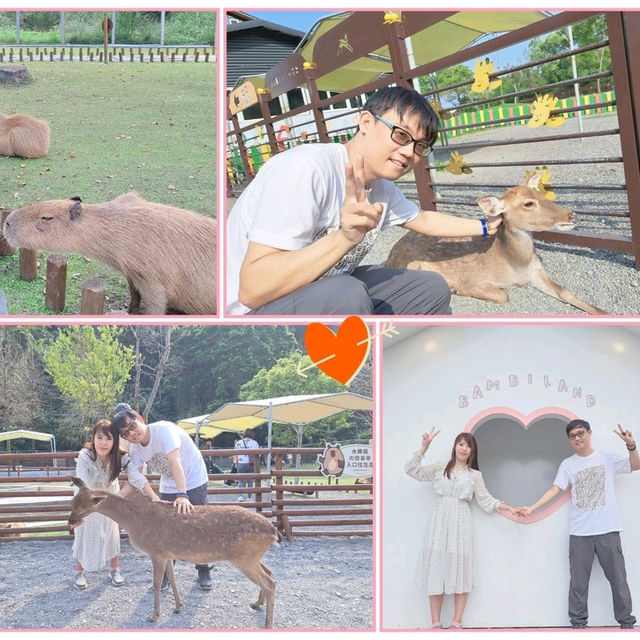 斑比山丘⛰️小鹿斑比的Wonderland🦌