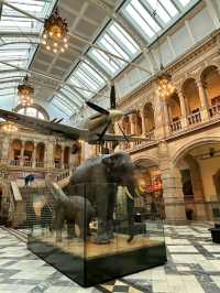 Kelvingrove Art Gallery and Museum