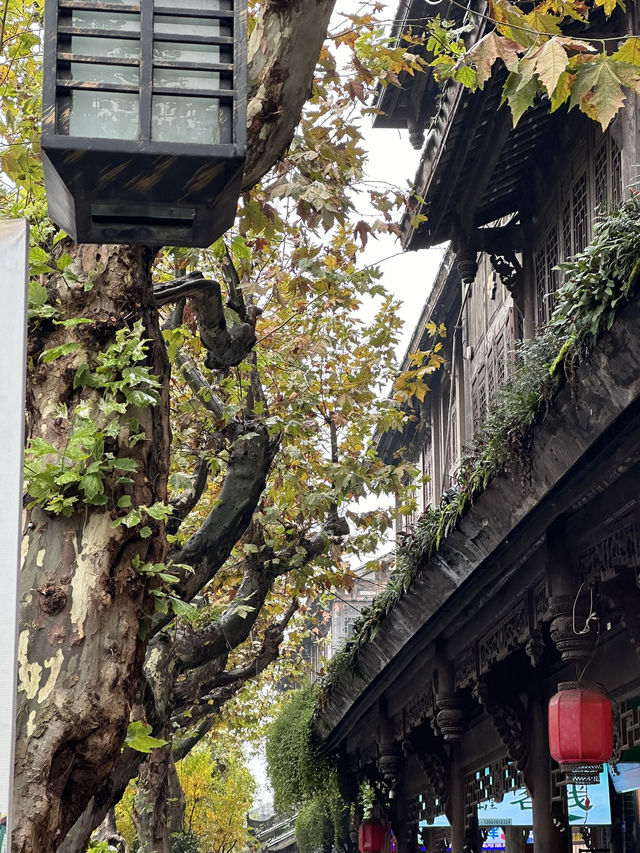 Dujiangyan A 2200 year old Masterpiece of Engineering!