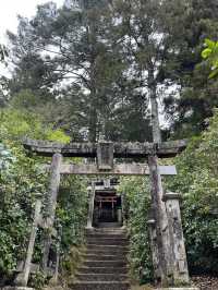 嚴島神社幾時去？潮退還是潮漲？why not both?