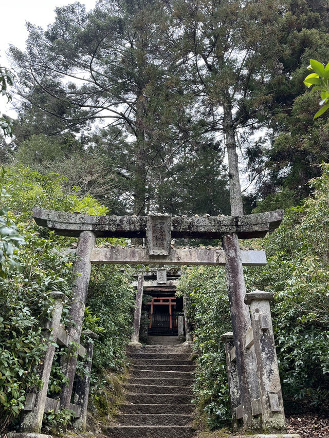 嚴島神社幾時去？潮退還是潮漲？why not both?