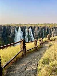 Spring Trip to Victoria Falls🌳