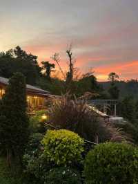 #DE RICHEST ดี ริชเชท ทุ่งสง