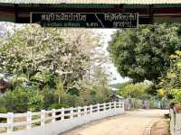 วันเดย์ทริป ล่องเรือเขื่อนภูมิพลเที่ยวสันป่าป๋วย