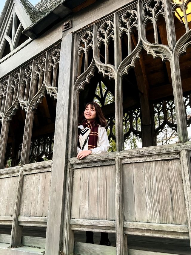 An Amazing Experience for Harry Potter Fans!