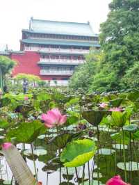 #臺北植物園-臺北市中正區