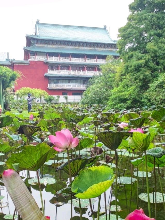 #臺北植物園-臺北市中正區