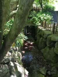 【鎌倉アルプス:北鎌倉・山之内・今泉の秘境から二階堂まで。散在ヶ池公園・陰陽滝・天園ハイキングコース 】