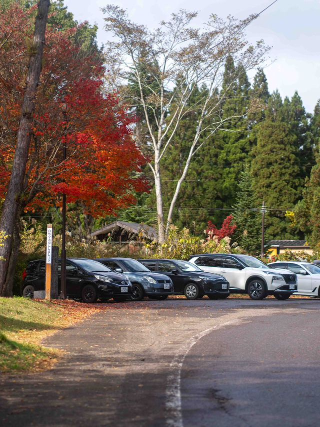戸隠の鏡池🌿 静寂に包まれた絶景リフレクション