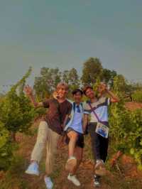 🍷 Chasing Sunsets at Red Mountain, Taunggyi