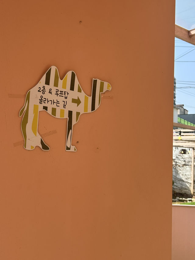 이국적인 대형 카페, 🤍 청주 고속 터미널 근처, 사하라🐪