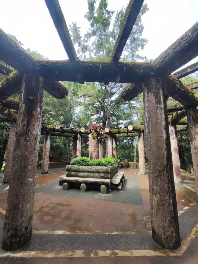 Wright Park