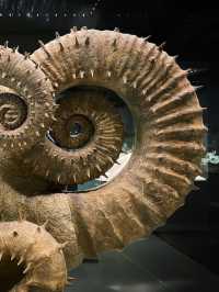 恐竜から宇宙まで学べる体験型博物館🦖🌌
