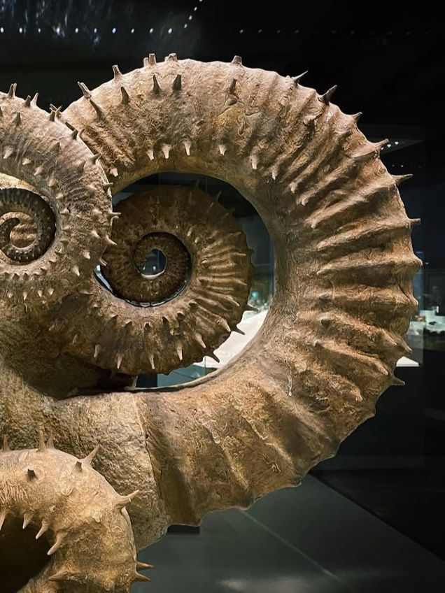 恐竜から宇宙まで学べる体験型博物館🦖🌌