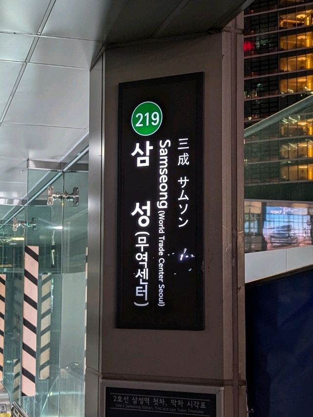 🇰🇷出張の合間に楽しめる！江南（カンナム）オススメスポット