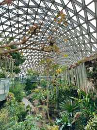 Shanghai Chenshan Botanical Garden– A World of Plants Under One Sky
