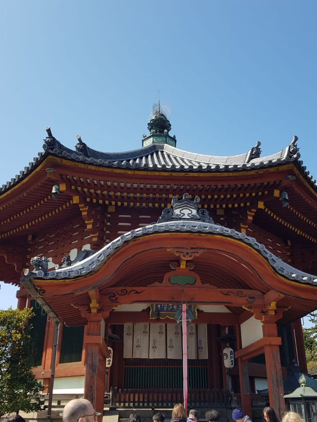 ✅【興福寺 攻略ガイド】  阿修羅に会いに行こう！国宝だらけを制覇する旅