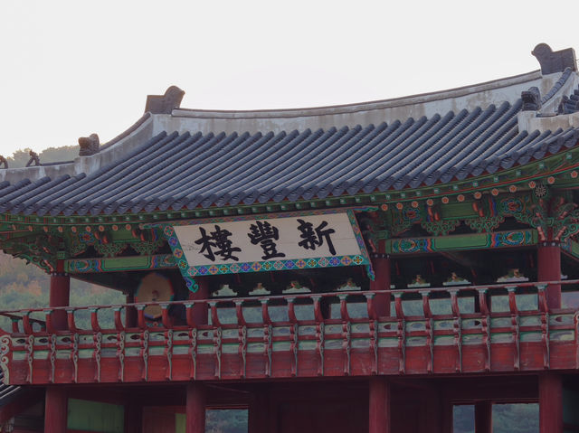 🌿 수원에서 만나는 역사와 힙한 피크닉, 하루 만에 다 즐기기