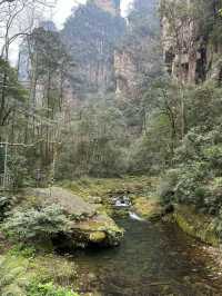 Zhangjiajie - no words to describe 
