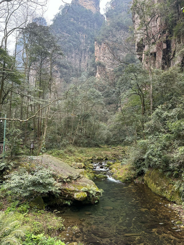 Zhangjiajie - no words to describe 