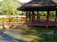 สัมผัสธรรมชาติ@น้ำพุร้อนป่าตึง