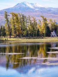Beneath the Birch: Discovering Altay’s Golden Season