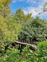 Taipei Botanical Garden