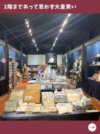 【台北女一人旅】何でも揃う穴場店！デザイン良しの可愛いお土産屋！
