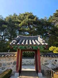 🌲🍂강원도 강릉 여행지 명소 강릉 오죽헌 