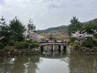 🍃 교토 텐류지(天龍寺), 마음까지 맑아지는 순간 🌸