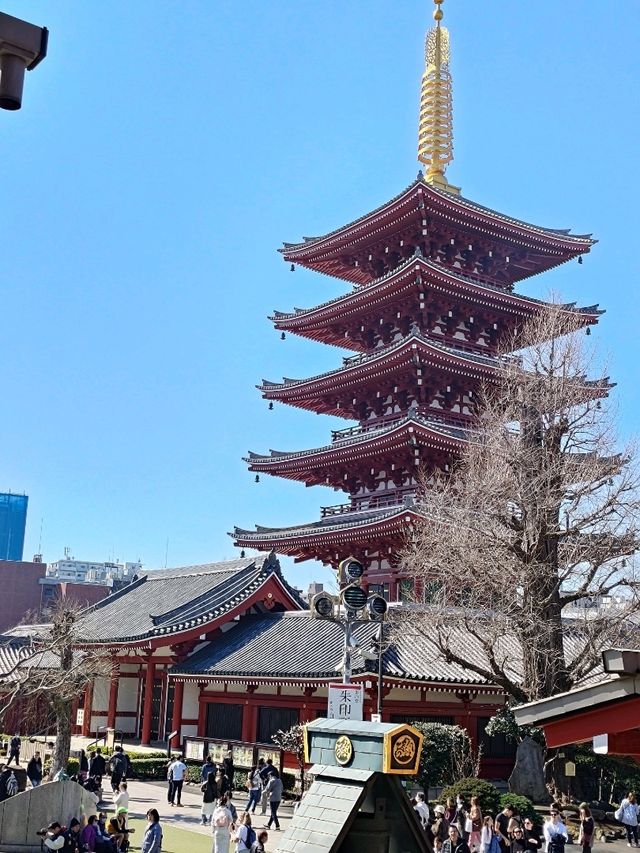 東京景點｜三訪東京最古老觀音寺—淺草寺