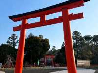京都洛北最古老的神社賞櫻---上賀茂神社