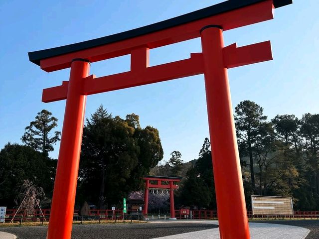 京都洛北最古老的神社賞櫻---上賀茂神社