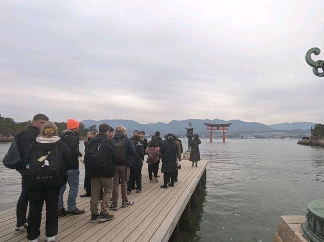 【広島】嚴島神社で海に浮かぶ鳥居を見る！