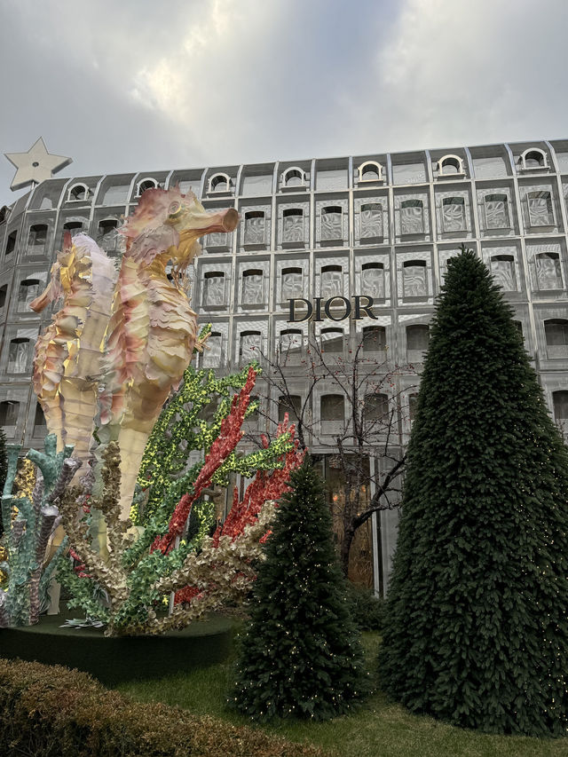 🏃🏻🏃🏻‍♀️🪢聖水洞**是韓國首爾新興的潮流聖地⛲️🧥🩳
