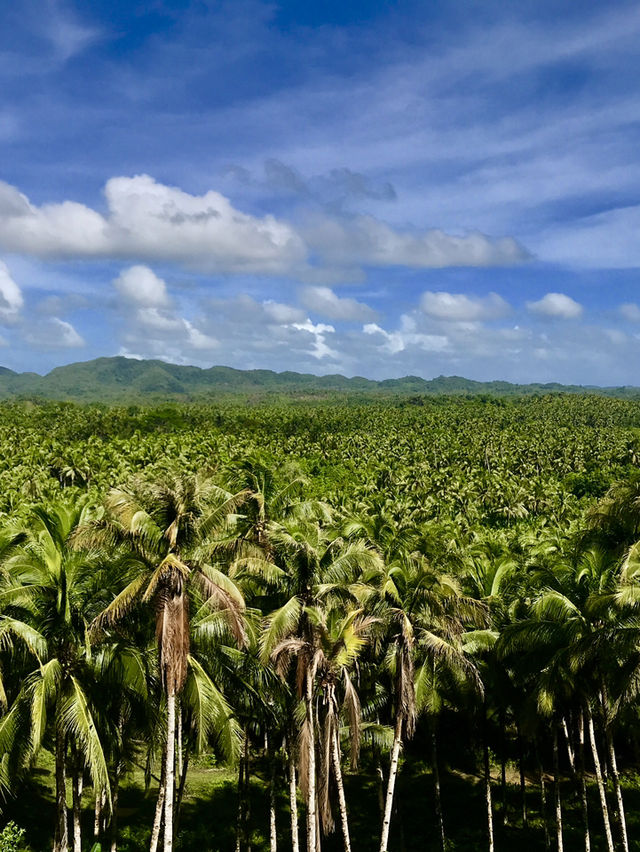 Siargao: A Paradise Found