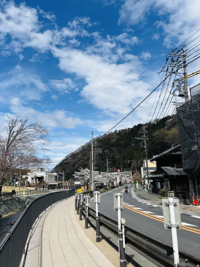 Cherry Blossoms, Tengu Legends & Scenic Trails – Springtime Magic on Mount Takao!
