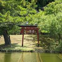 奈良公園（奈良県）