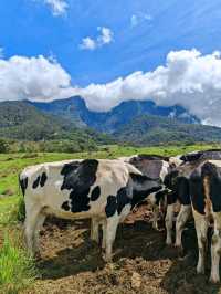 Celebrating earth day in Kundasang