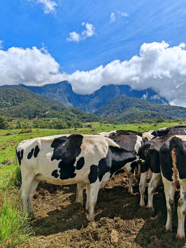 Celebrating earth day in Kundasang
